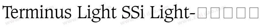 Terminus Light SSi Light字体转换